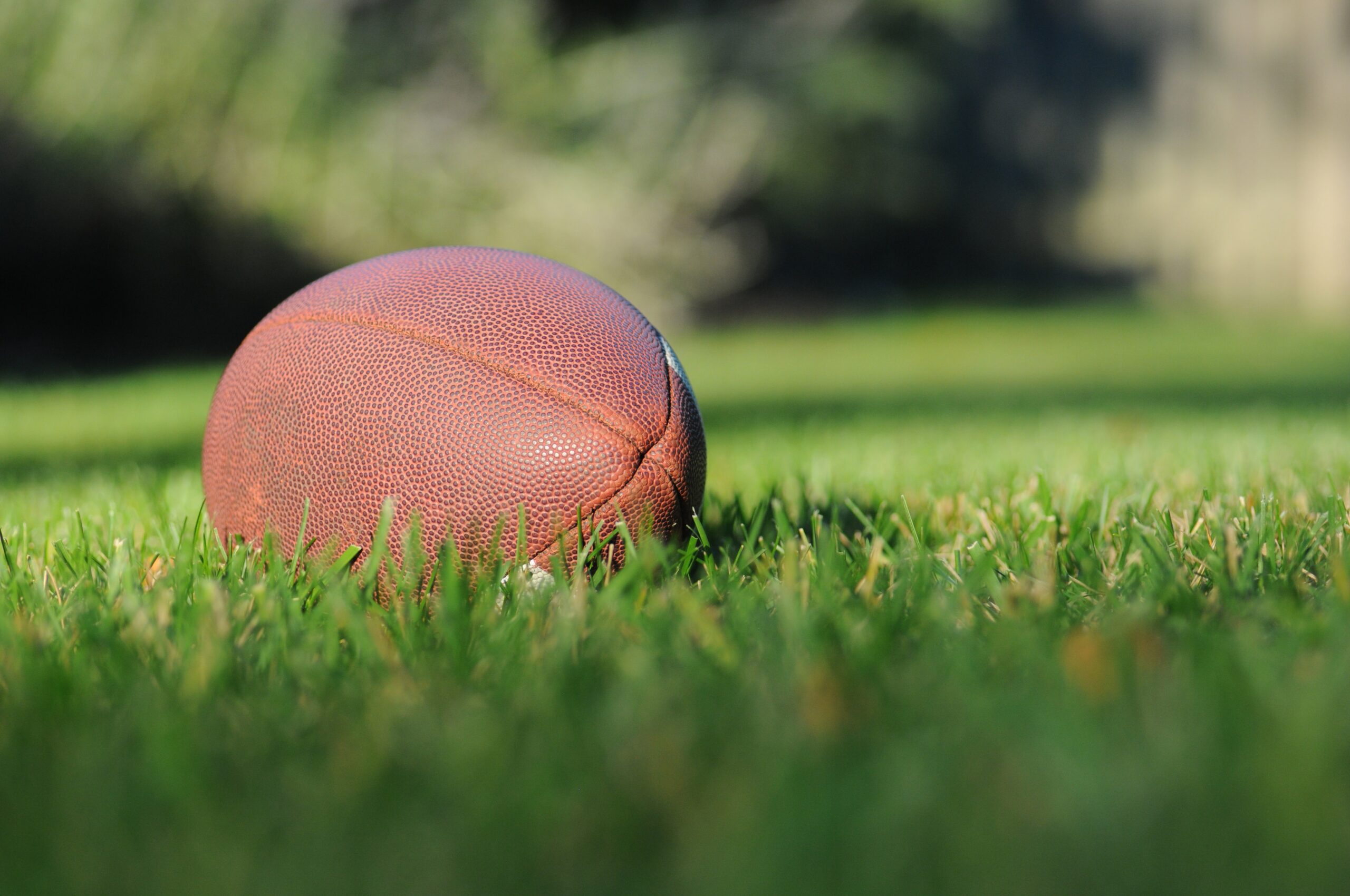 Precise Letter to Goodell and the NFL About Office Points – Sports activities Regulation Professional